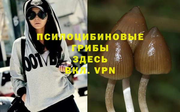 синтетический гашиш Абдулино