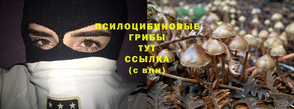 стаф Абинск