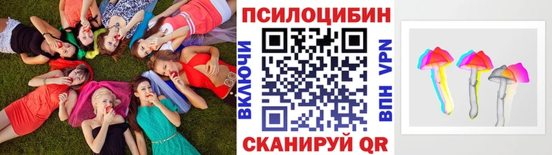 Псилоцибиновые грибы MAGIC MUSHROOMS Ядрин